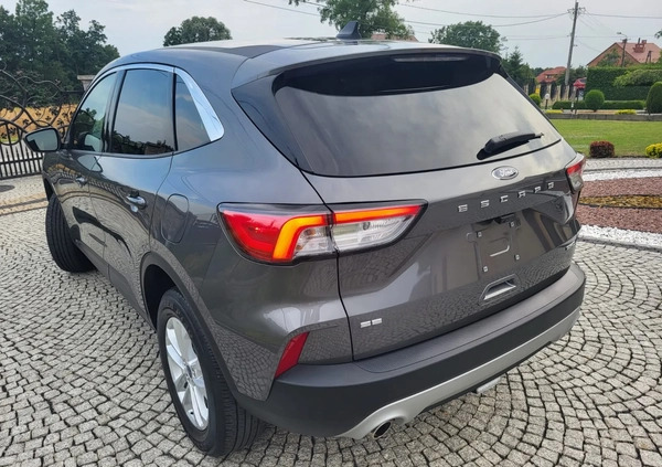 Ford Kuga cena 81500 przebieg: 38000, rok produkcji 2021 z Tarnów małe 529